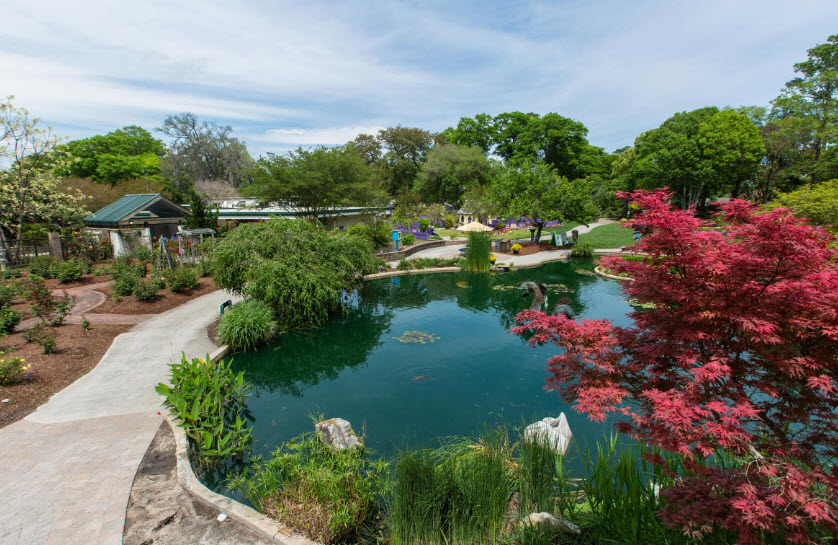 University of North Carolina at Wilmington Arboretum, Wilmington, North Carolina, United States
